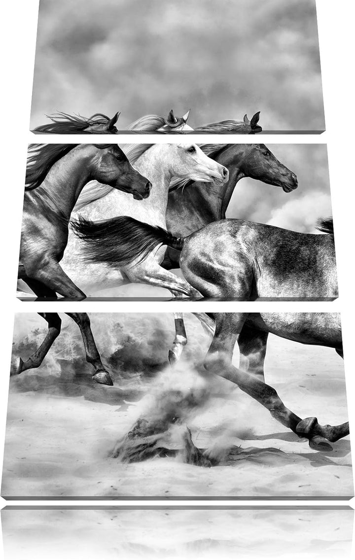 Pixxprint Monocrome, Western Pferde in Wüste 3-Teiler Leinwandbild 120x80 Bild auf Leinwand