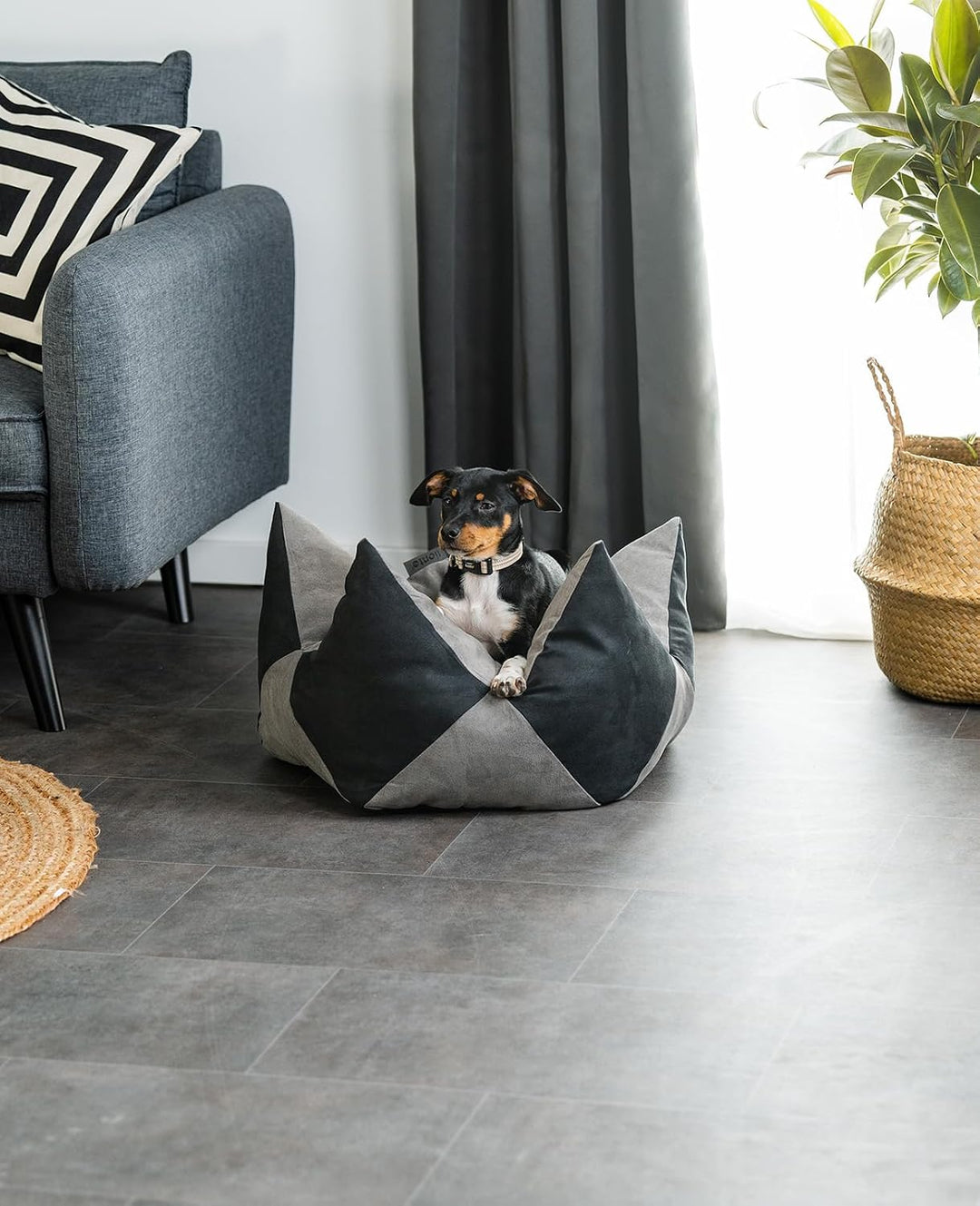 lionto Kronenkissen Sternenkissen Hundebett Katzenbett Haustierkissen, 60x35 cm grau/schwarz Grau/Sc