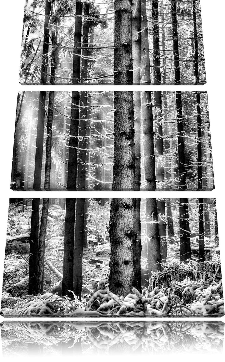 Pixxprint Winterwald als Leinwandbild/Grösse: 3 Teilig (120x80) cm/Wandbild/Kunstdruck/fertig bespan
