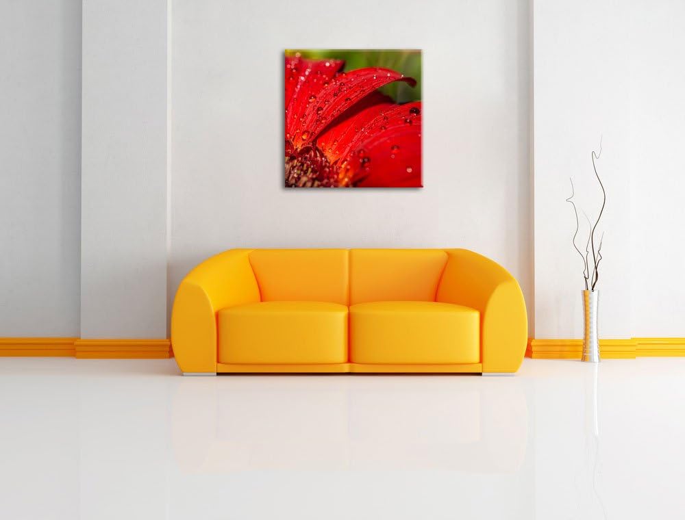 Tautropfen auf roter Blume, Format: 70x70 auf Leinwand, XXL riesige Bilder fertig gerahmt mit Keilra