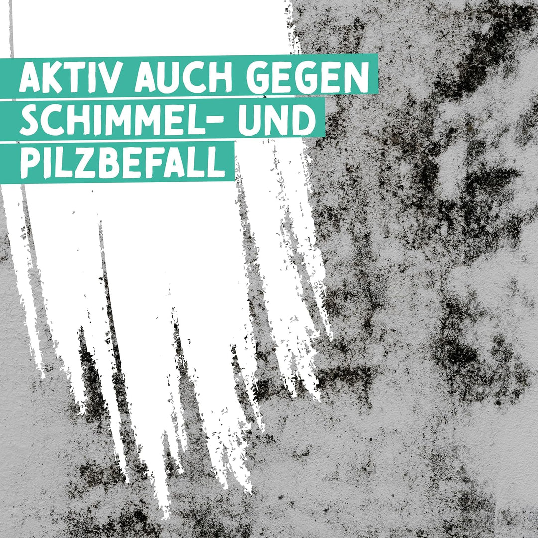 Anton Bad- und Küchenfarbe | Frische Weiss | Spezialfarbe | Vorbeugend gegen Schimmel | deckt beim e