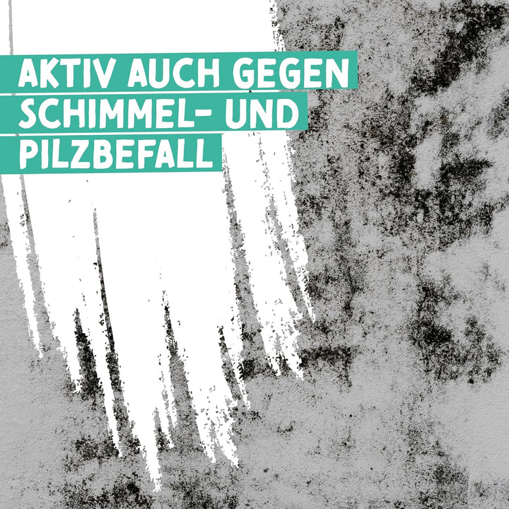 Anton Bad- und Küchenfarbe | Frische Weiss | Spezialfarbe | Vorbeugend gegen Schimmel | deckt beim e