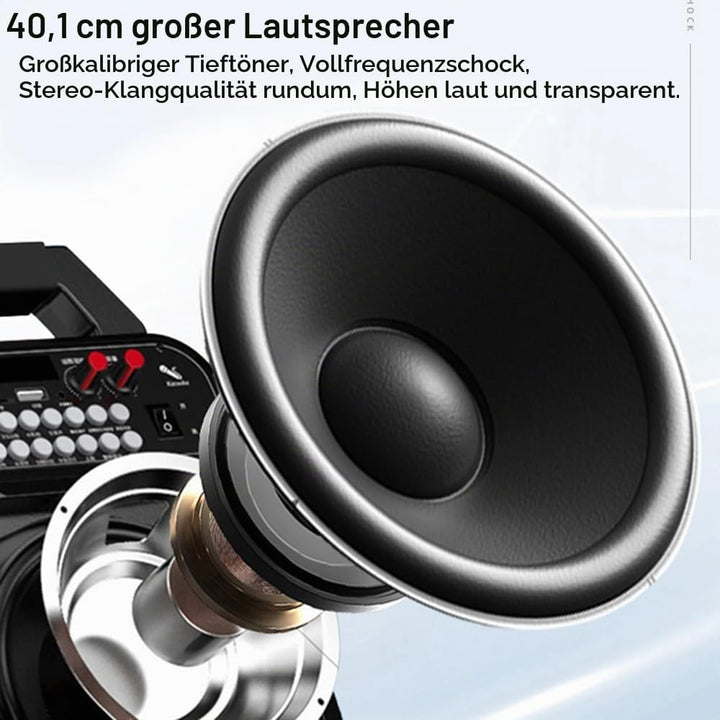 DollaTek HRD-700 Taschen Retro Mini Radio mit 10 Bändern Bluetooth Digitaler wiederaufladbarer Musik