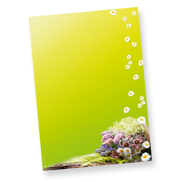 TATMOTIVE Briefpapier-Motiv Grüner Frühling mit Blumen DIN A4, 90 g Offsetpapier - 250 Blatt - grün,