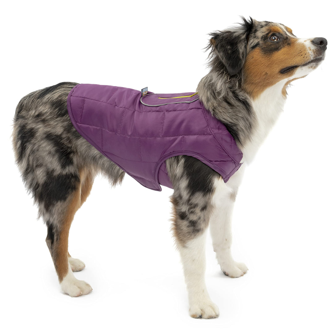 Kurgo Loft Hundejacke, Mit Hundegeschirr kombinierbar, Wasserdicht und reflektierend, Ideal für den