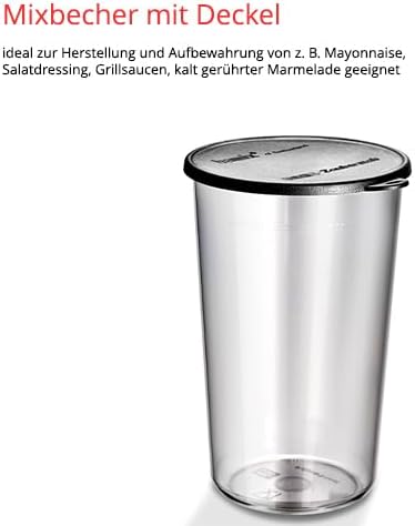 ESGE-Zauberstab 9240026 E 120 Select Anthrazit Stabmixer, Pürierstab inkl. Multimesser, Schlagscheib