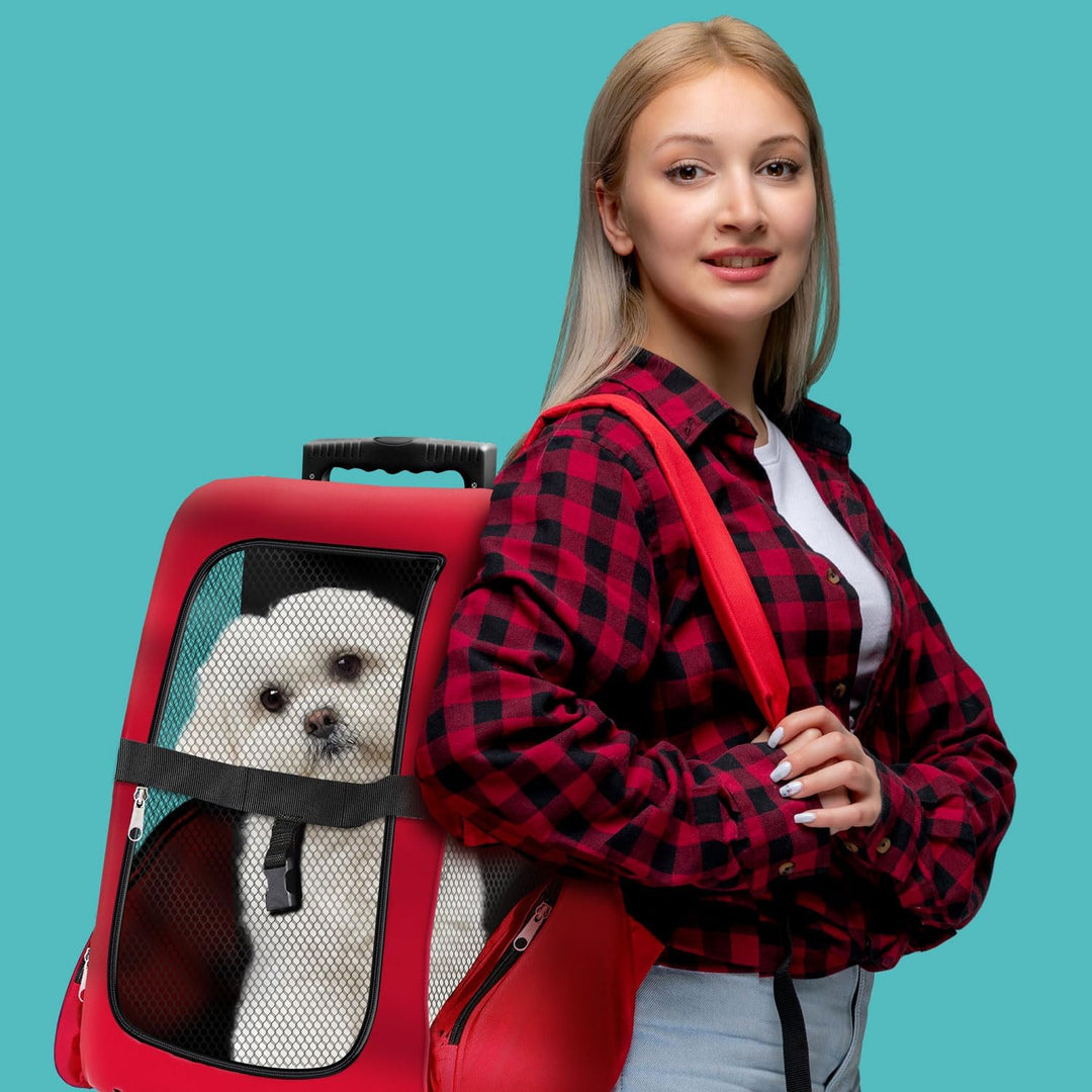 All Pets United Hunde-Trolley Haustier Tragetasche Transportbox für Hunde und Katzen Tier-Trolley Ha
