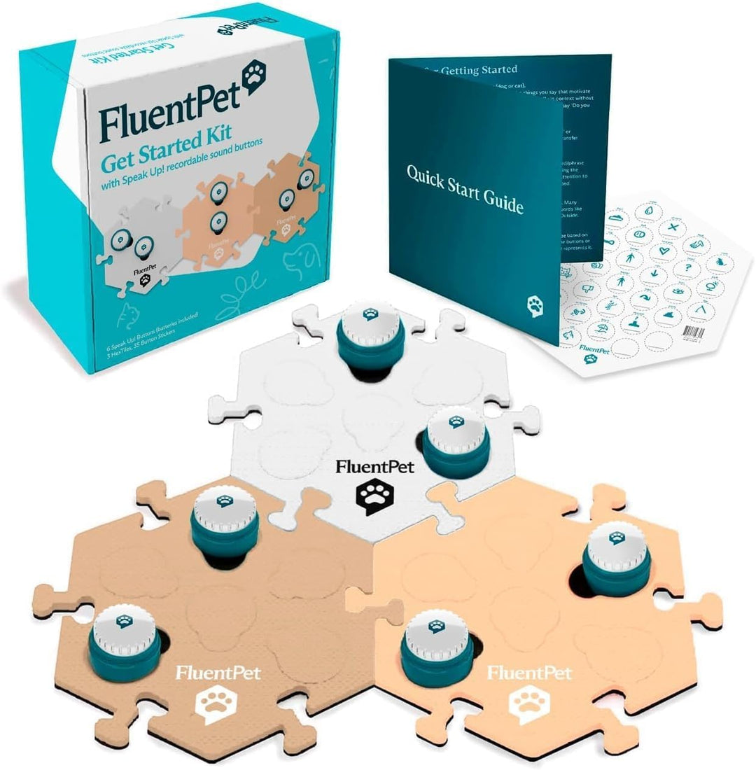 FluentPet Classic Vokabel-Set mit klarerem, nach Oben gerichtetem Ton – 12 bespielbare Tasten mit vo