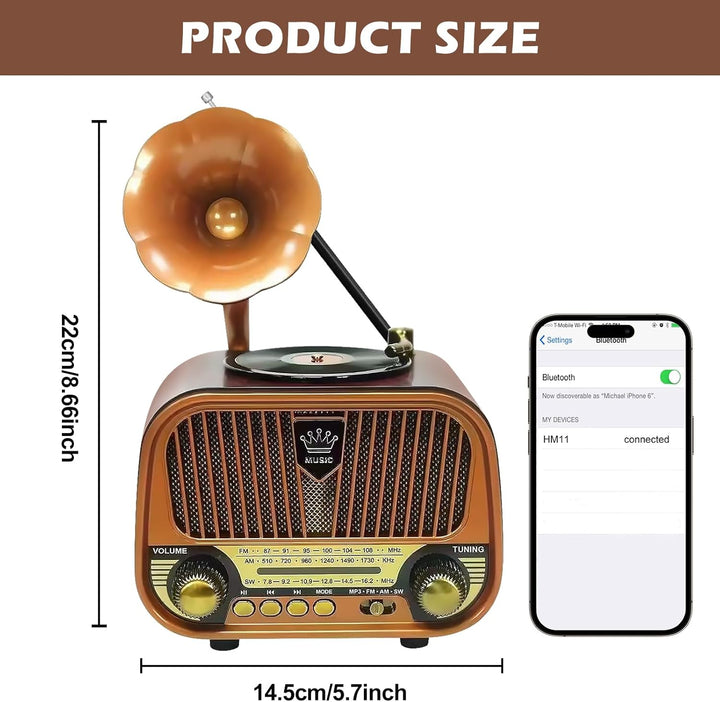 Retro Radio Klein AM/FM/SW, Nostalgie Radio mit Bluetooth, Unterstützt USB/TF/AUX Funktion, Tragbar