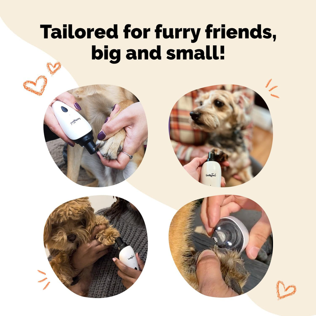 LuckyTail HundeNagelschleifer – kleine und grosse Hunde – flüsterleiser Betrieb (30–50 dB) – leistun