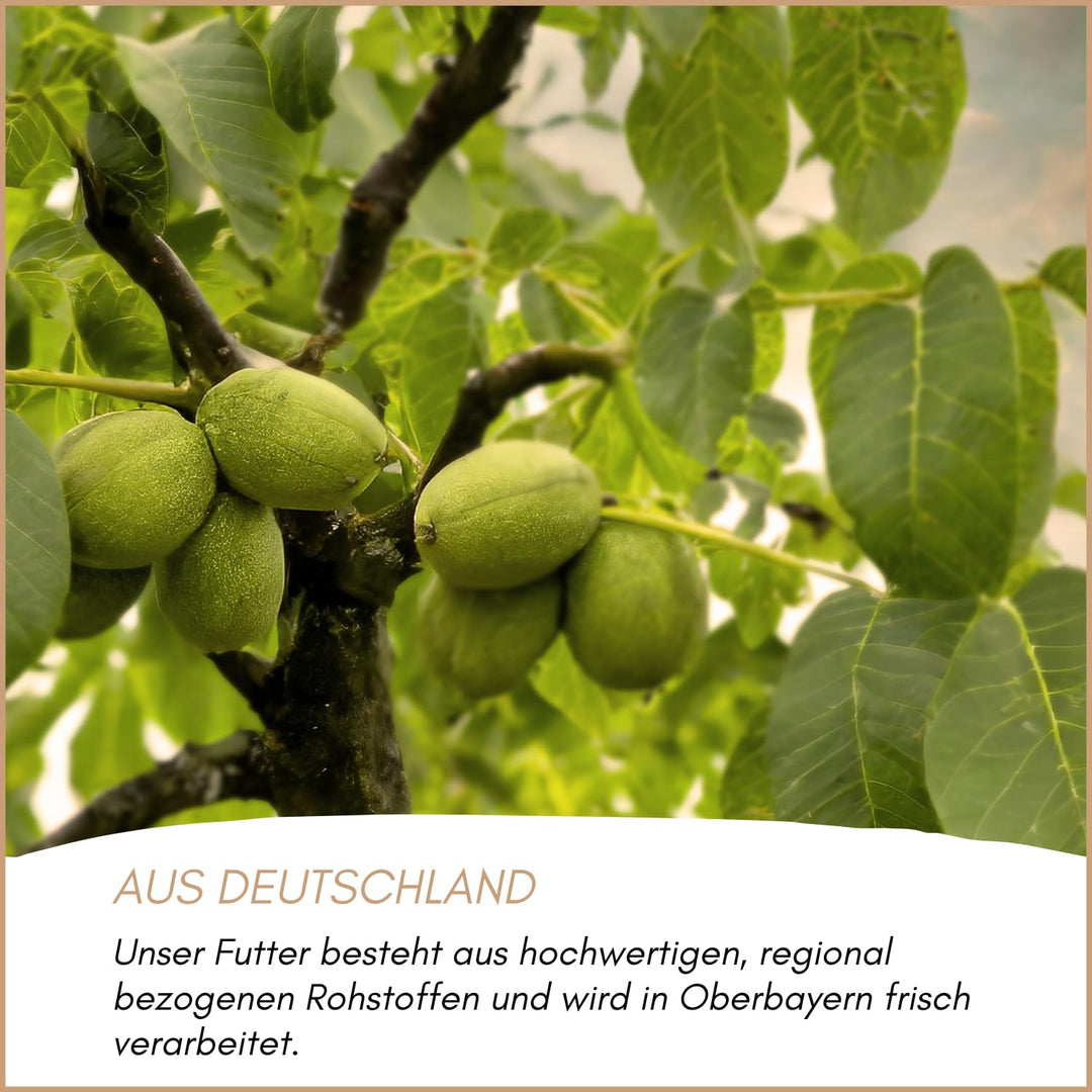 Supravit Frische Nüsse-Mix Eichhörnchen Futter 1kg | Futter für Eichhörnchen mit Haselnüsse, Walnüss