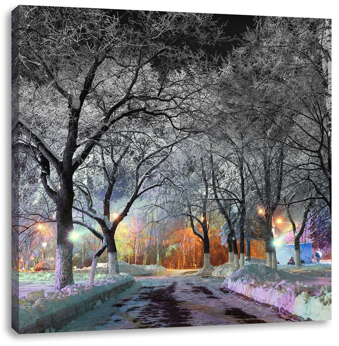 Pixxprint Baumallee im Winter als Leinwandbild Quadratisch/Grösse: 70x70 / Wandbild/Kunstdruck/ferti