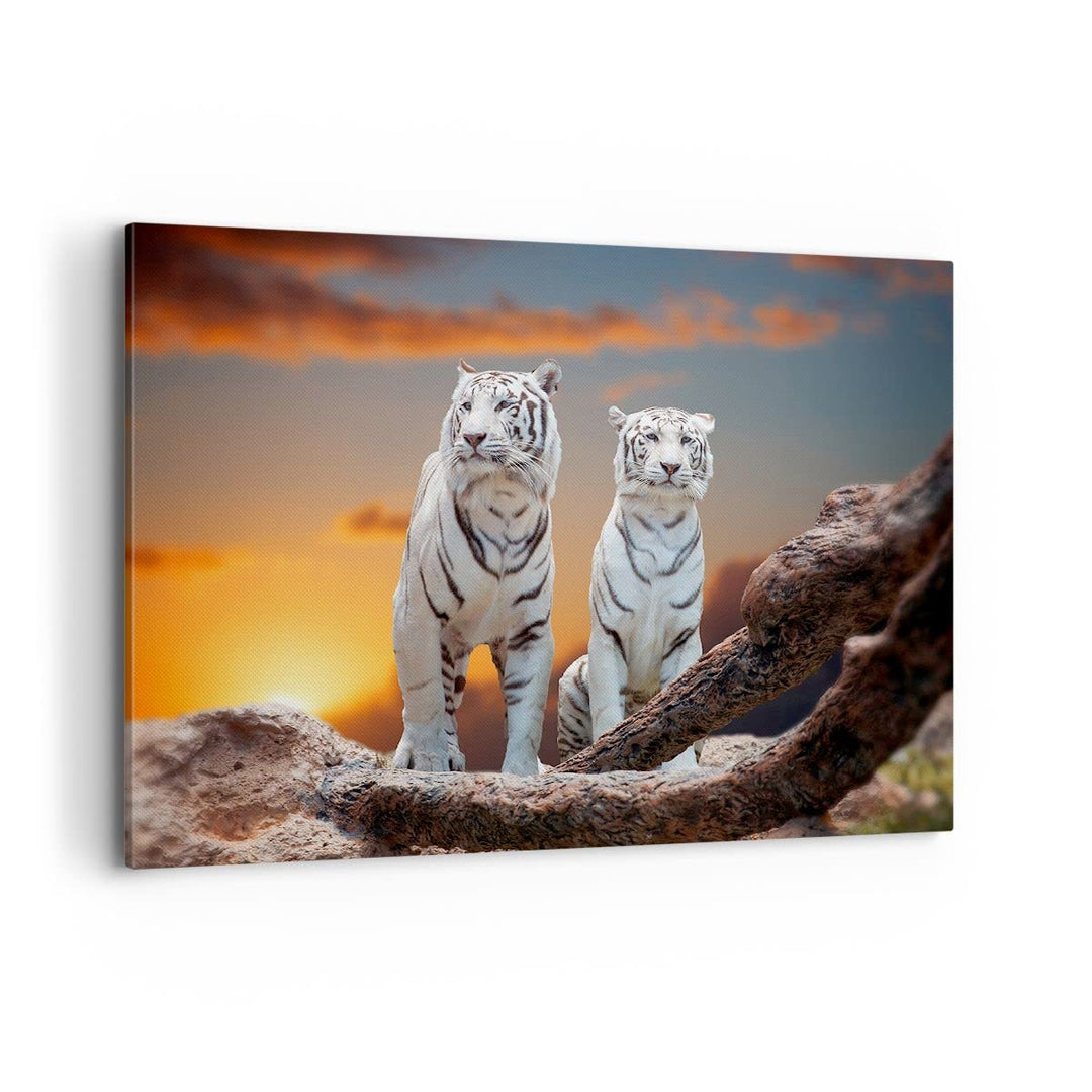 Bilder auf Leinwand 100x70cm Leinwandbild Tiger weiss Rock Sonnenuntergang Gross Wanddeko Bild Schla