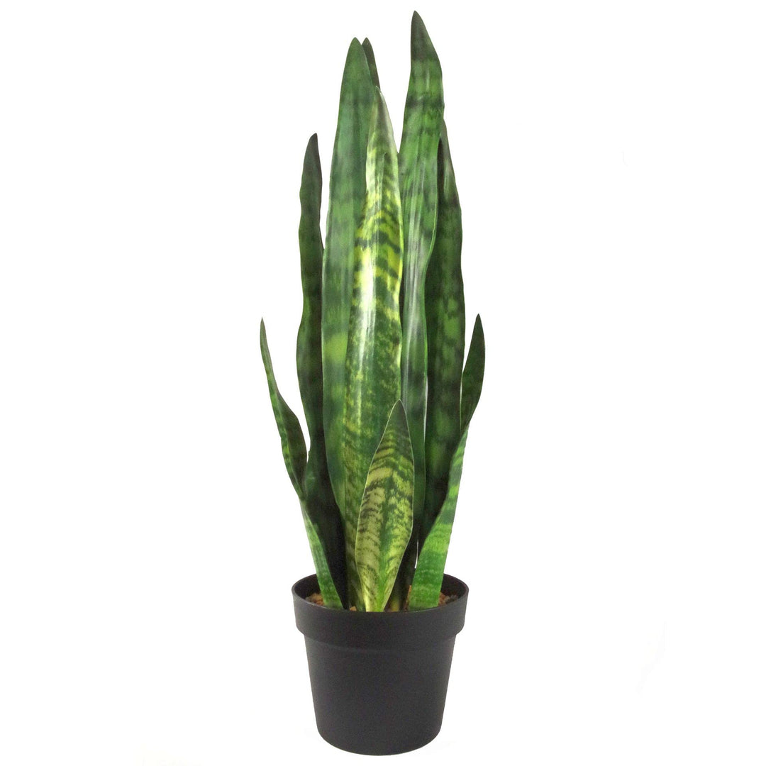 Leaf Design Tropische Kunstpflanzen. 70 cm 70 Cm Sansevieria Zeylanica, 70 cm 70 Cm Sansevieria Zeyl