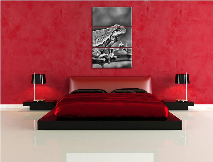 Pixxprint Kleiner Frosch auf Dornenast als Leinwandbild/Grösse: 3 Teilig (120x80) cm/Wandbild/Kunstd
