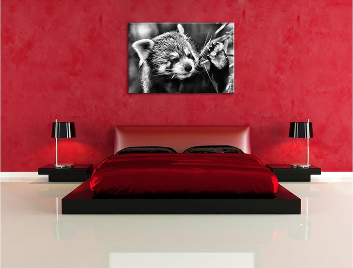 Pixxprint Kleiner Panda SAGT Hallo / 100x70cm Leinwandbild bespannt auf Holzrahmen/Wandbild Kunstdru