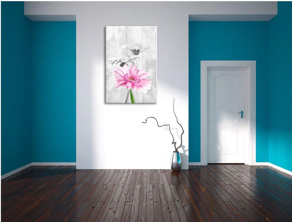 schöne Gerberas bei Tageslicht schwarz/weiss Format: 100x70 auf Leinwand, XXL riesige Bilder fertig
