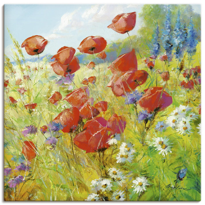 ARTland Leinwandbilder Wandbild Bild auf Leinwand 70 x 70 cm Botanik Blumenwiese Mohnblume Malerei B