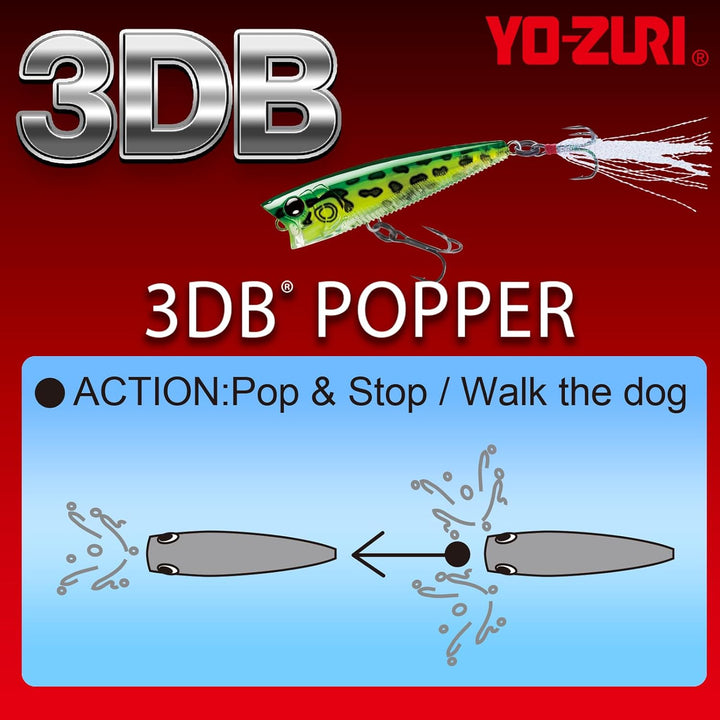 Yo-Zuri Schwimmender 3DB Popper 3-Inch Prismenfrosch, 3-Inch Prismenfrosch