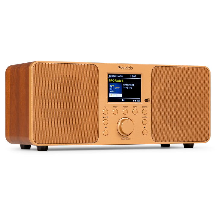 Audizio Genua DAB Radio mit Bluetooth – Stereo DAB Plus Radio mit Fernbedienung, 60 Speicherplätze,