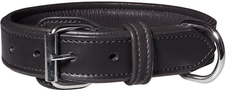Knuffelwuff 13967-019 Leder Hundehalsband mit Schnallenschutz Detroit, schwarz Schwarz Halsumfang 55