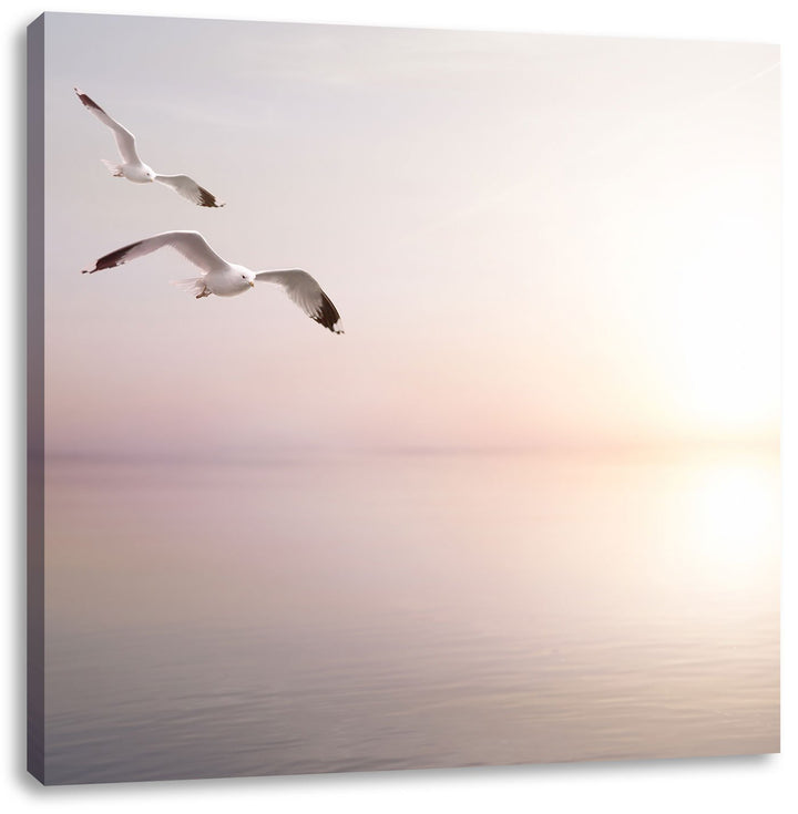 Pixxprint Möwen am Meer bei Sonnenaufgang, Format: 70x70 auf Leinwand, 70x70
