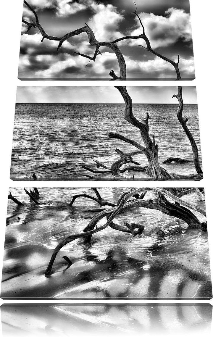 Pixxprint Strand Meer Havanna Kuba als Leinwandbild/Grösse: 3 Teilig (120x80 cm) cm/Wandbild/Kunstdr