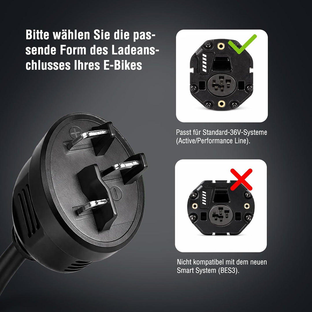 LEICKE Netzteil für Bosch e Bike Ladegerät 36V 4A 42V 4A Bosch Active/Performance Line E-Bike Akku m