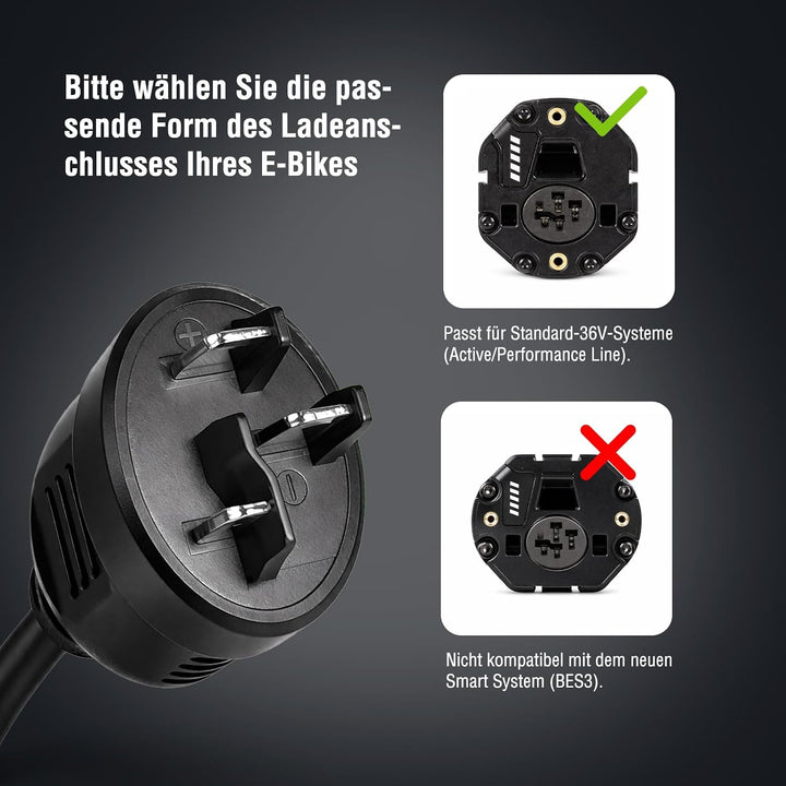 LEICKE Netzteil für Bosch e Bike Ladegerät 36V 4A 42V 4A Bosch Active/Performance Line E-Bike Akku m