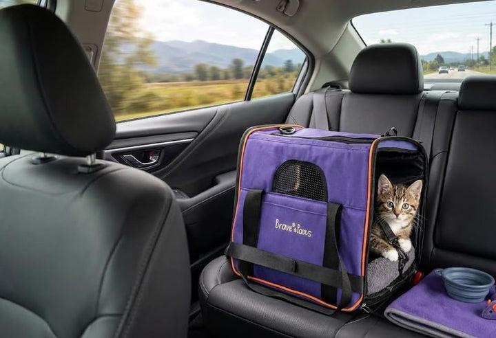 Brave Paws Tragetasche Haustier - Transporttasche Hund & Katze - Ideal für Katzen Transport & Hunde