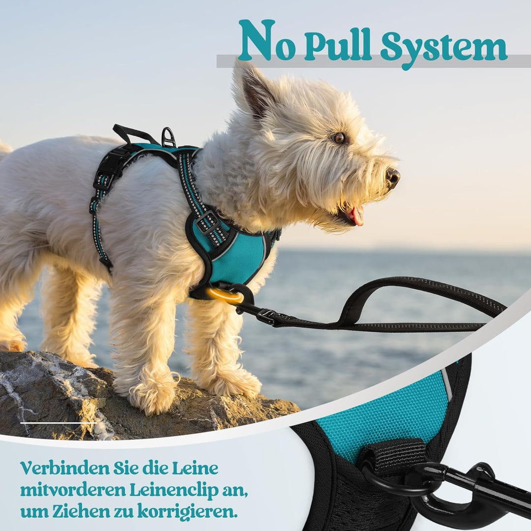rabbitgoo Hundegeschirr Kleine Hunde, Anti Zug Geschirr mit Kontrolle, No Pull Verstellbar Hundegesc