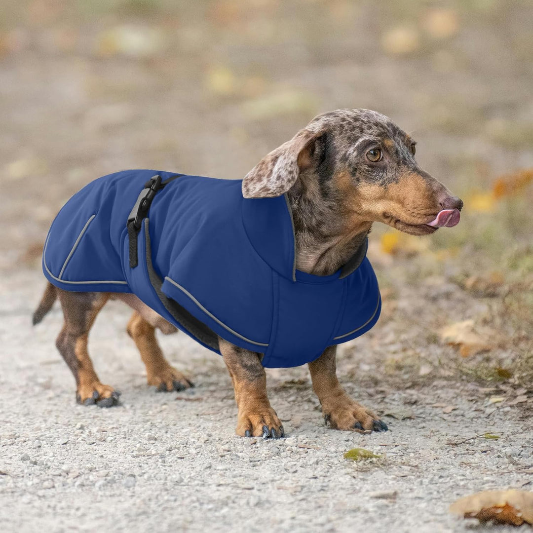 Hundemantel Dackel S, Winddichter Wasserdichter Wintermantel Für Dackel Hunde, Hundejacke Für Grosse