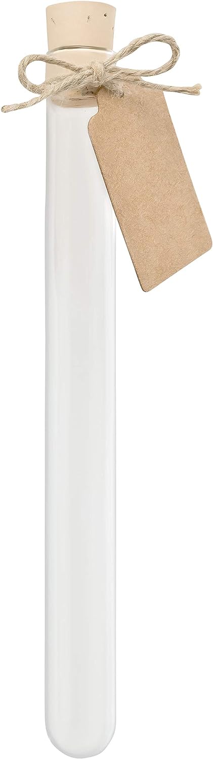 Reagenzgläser zum | Basteln & Dekorieren | Korken aus 100% Kork | Papp-Kärtchen aus recyceltem Papie