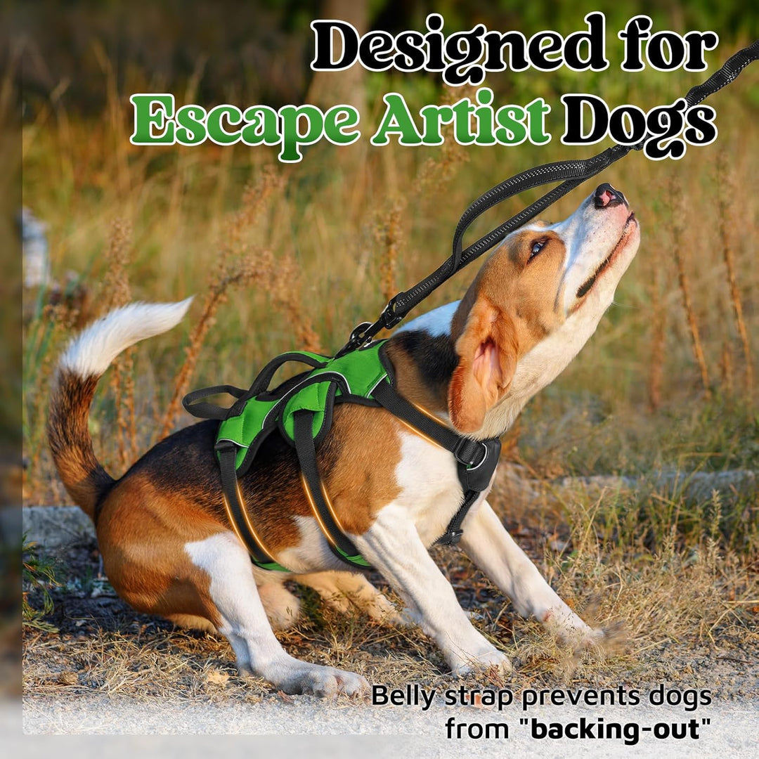 rabbitgoo Ausbruchsichere Hundegeschirr Kleine Hunde mit Griff, Anti Zug Sicherheitsgeschirr Hund At