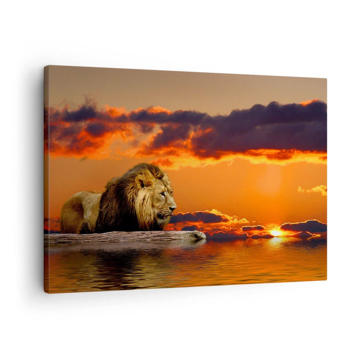 ARTTOR Bilder auf Leinwand Löwe Sonne Landschaft Leinwandbild 70x50cm Wandbilder Dekoration Wohnzimm