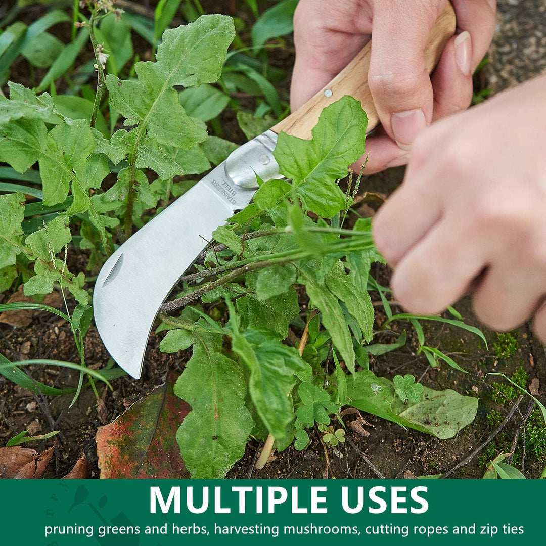 Berry&Bird Hawkbill Pruner Knife, klappbares Taschenmesser, Veredelungsmesser mit Edelstahlklinge, G