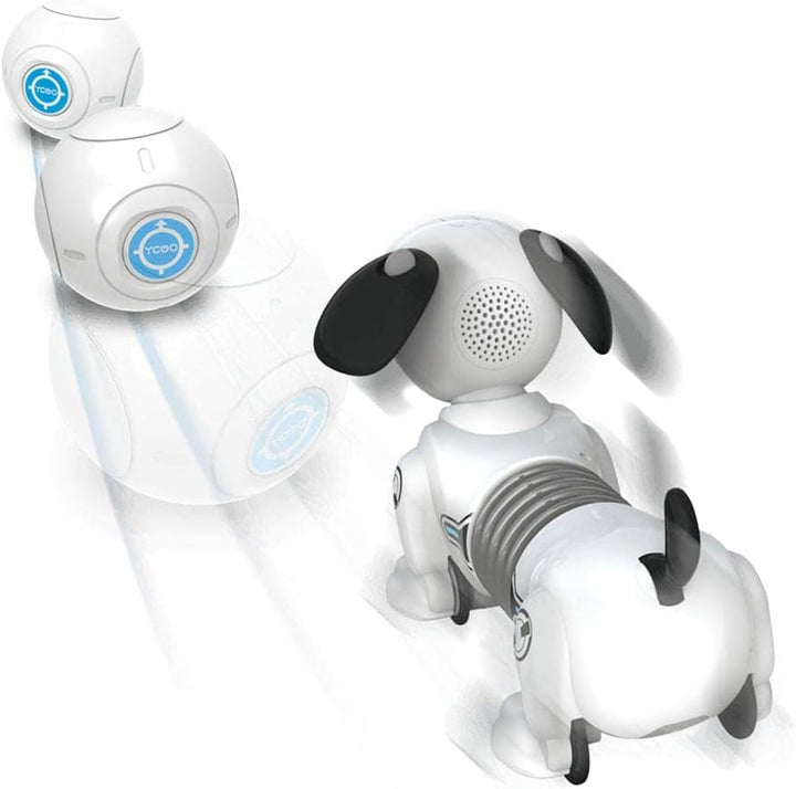 JUNIOR ROBO DACKEL Mehrfarbig, Mehrfarbig