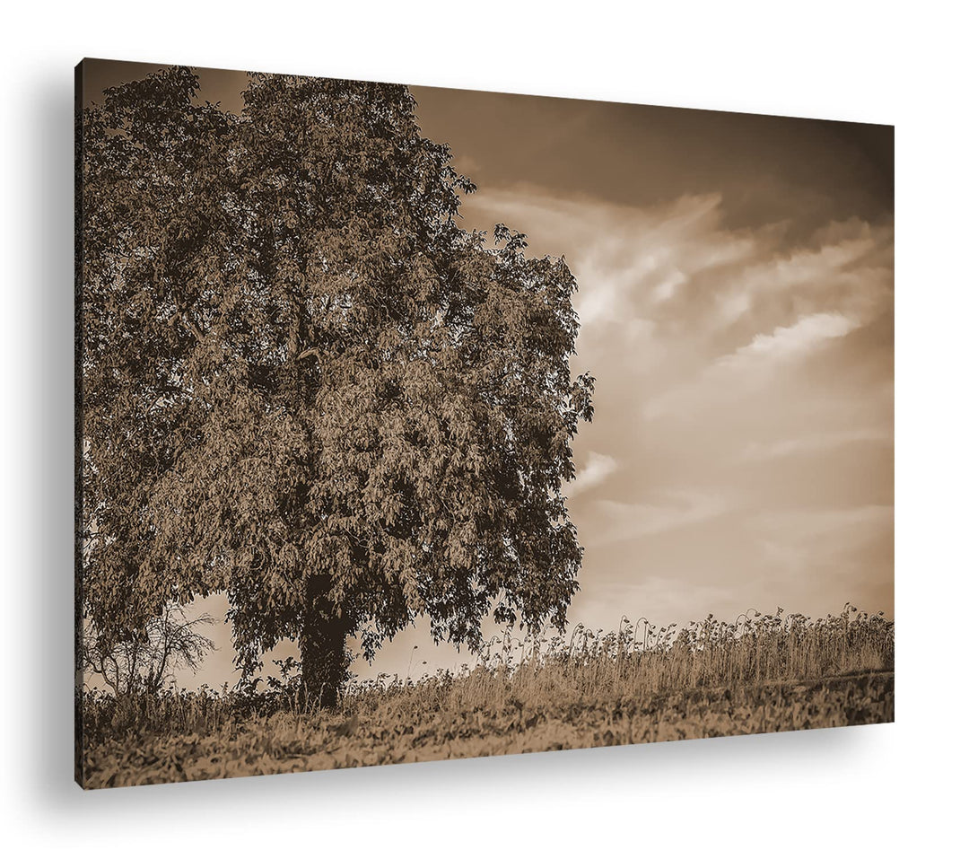 deyoli Herbstliche Landschaft Format: 80x60 als Leinwand, Effekt: Sepia, Motiv fertig gerahmt auf Ec