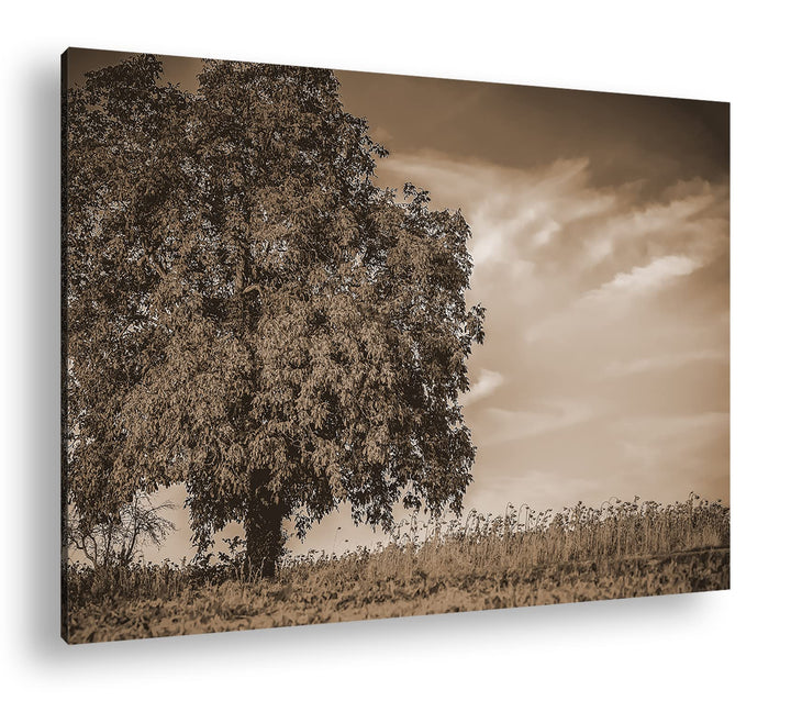 deyoli Herbstliche Landschaft Format: 80x60 als Leinwand, Effekt: Sepia, Motiv fertig gerahmt auf Ec
