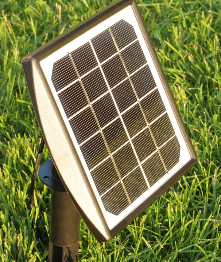 powershop11 Wasserspeier Frosch 16 cm dk.grün mit Solarpumpe Solaris 170