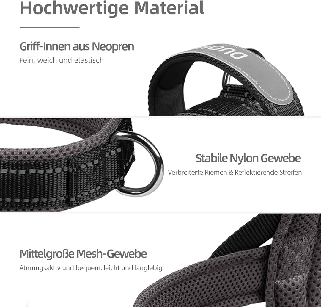Hundegeschirr mit Leine für Mittelgrosse Kleine Hunde Welpen, Bunt Farbblock Geschirr, Mesh Gepolste