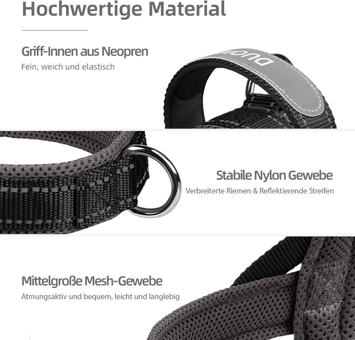 Hundegeschirr mit Leine für Mittelgrosse Kleine Hunde Welpen, Bunt Farbblock Geschirr, Mesh Gepolste