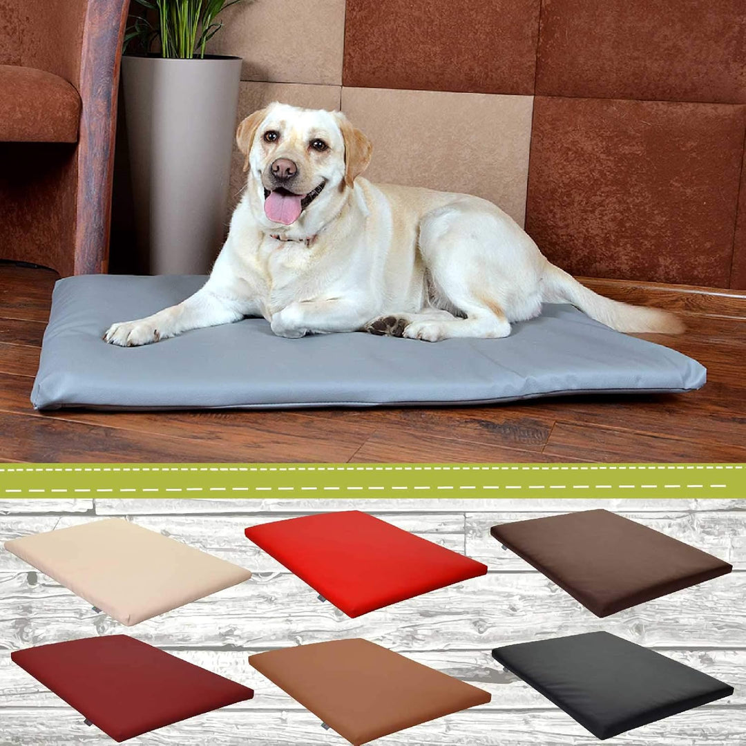 FORTISLINE Hundematte XL 120x90 cm - Hundebett aus Kunstleder - Hundekissen abwaschbar und pflegelei
