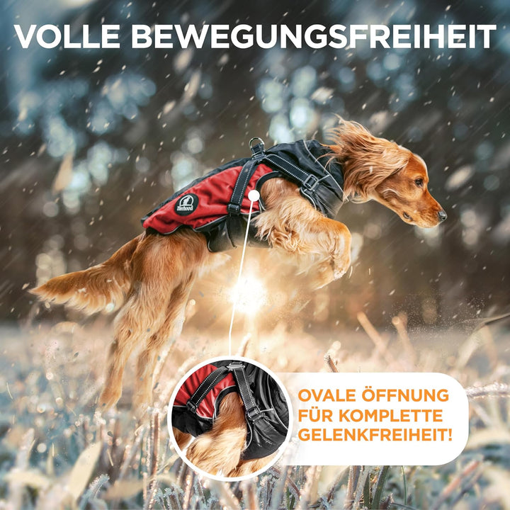 Tierhood Regenmantel Hund - Hundemantel inkl. Geschirr Wasserdicht | Hunderegenmantel wasserdicht- R