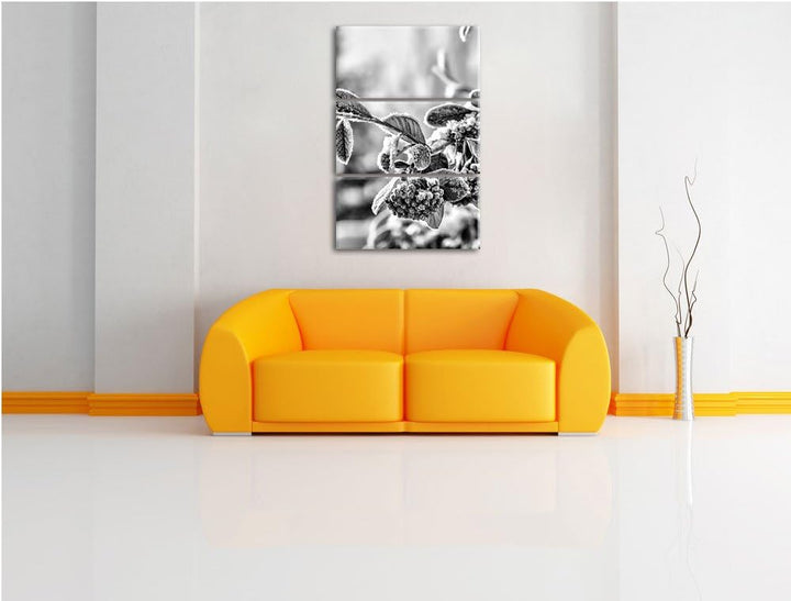 Pixxprint Monocrome, Vogelbeeren im Winter 3-Teiler Leinwandbild 120x80 Bild auf Leinwand