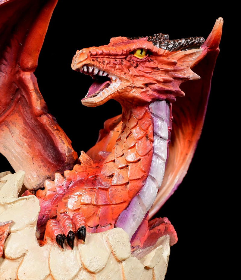 Drachen Figur Feuerdrache schlüpft aus Ei 20,5 cm | Fantasy Deko Statue