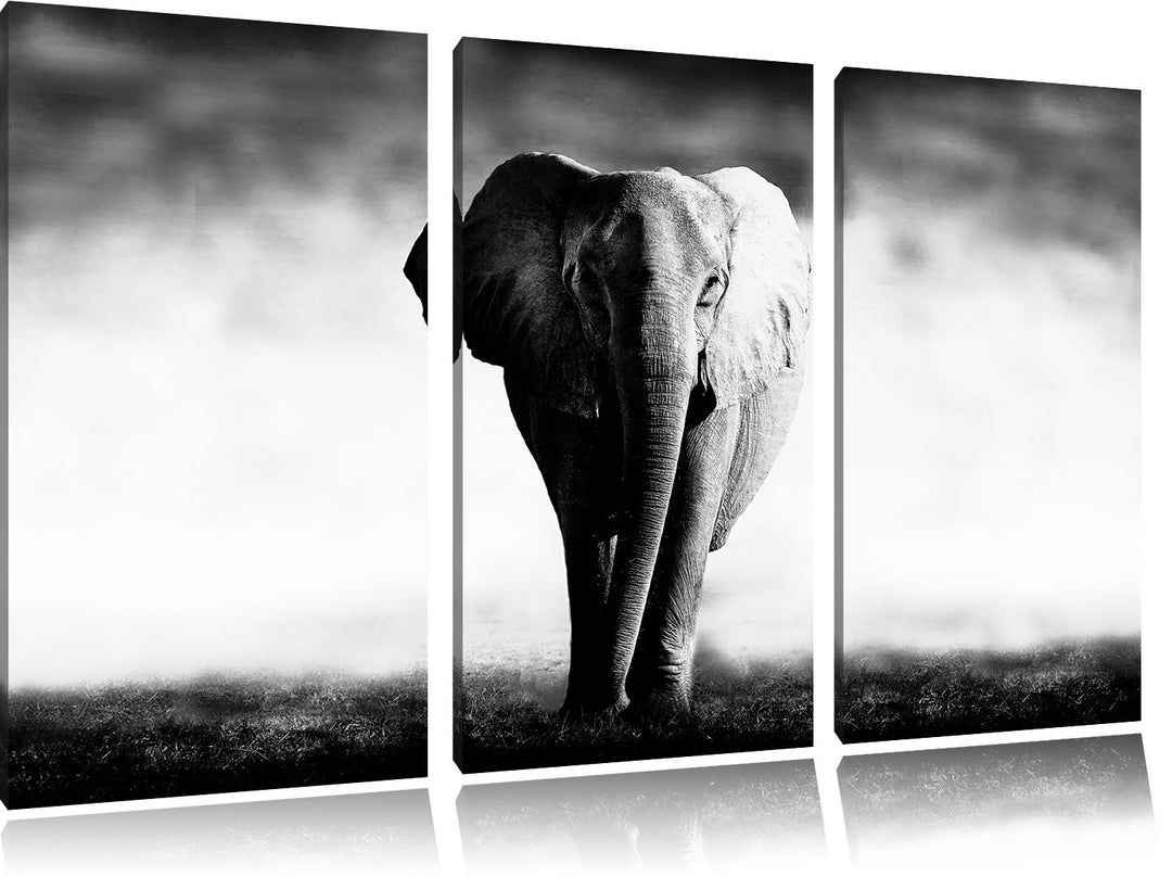 Elefant im Alleingang schwarz/weiss 3-Teiler Leinwandbild 120x80 Bild auf Leinwand, XXL riesige Bild