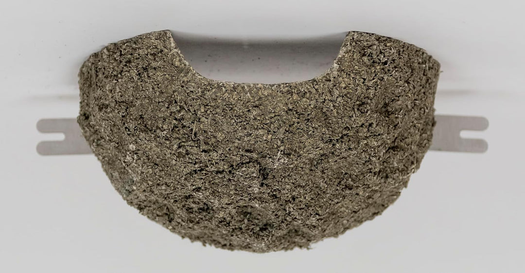 Mehlschwalbennest mit Edelstahl Halter (Einflug mittig), Vogelhaus, Nistkasten, Nisthilfe