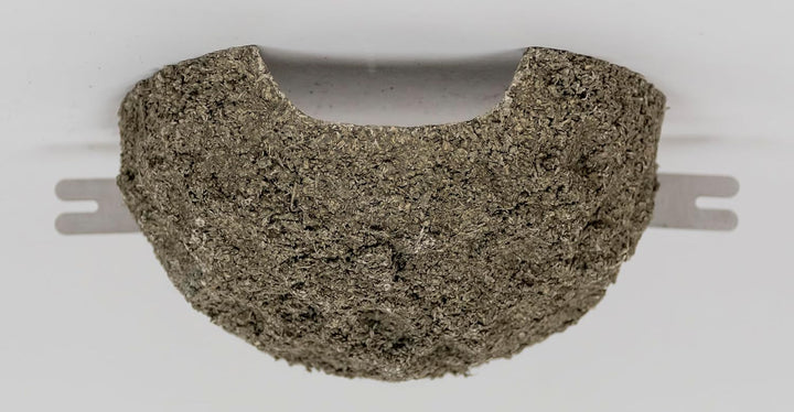 Mehlschwalbennest mit Edelstahl Halter (Einflug mittig), Vogelhaus, Nistkasten, Nisthilfe