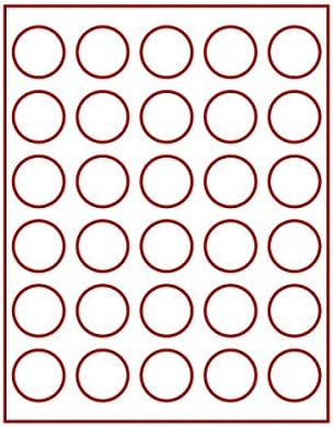 LINDNER Das Original Münzbox Standard mit 30 runden Vertiefungen für Münzen mit Ø39 mm